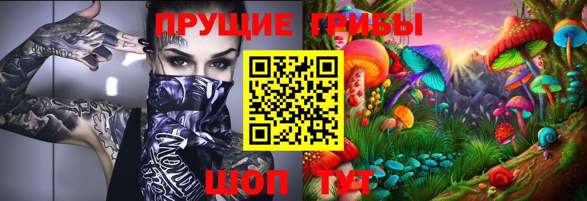 Псилоцибиновые грибы Psilocybe  Вход с VPN  Комсомольск-на-Амуре 